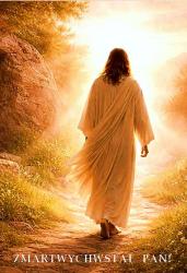 Mniszki Bose - fotografia